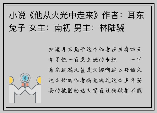 小说《他从火光中走来》作者：耳东兔子 女主：南初 男主：林陆骁