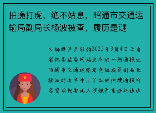 拍蝇打虎，绝不姑息，昭通市交通运输局副局长杨波被查，履历是谜