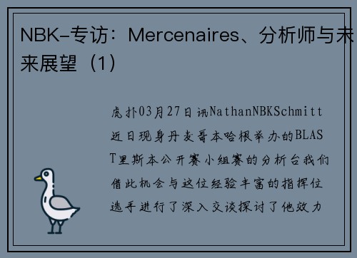 NBK-专访：Mercenaires、分析师与未来展望（1）